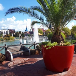 Sochi Park and Theme Park Tour