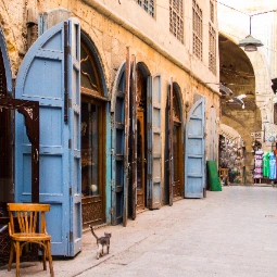 Half Day El Moez Street Tour