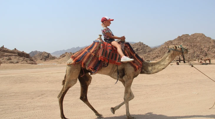 Sharm El Sheikh F&S 3