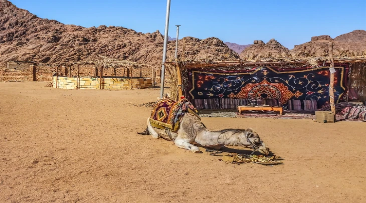 Sharm El Sheikh F&S 4