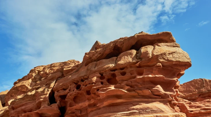 Sharm El Sheikh F&S 4