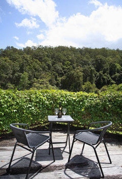 Mt Warning Forest Hideaway