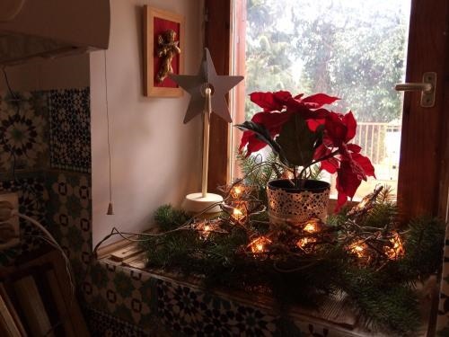 Műterem Apartmanház