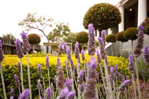 Nostalgia Self Catering Guesthouse