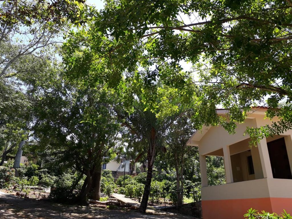 Pousada Cafe Do Brejo