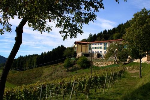 Polisena L’altro Agriturismo