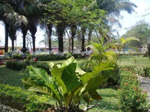 Palma Vino Finca Hotel