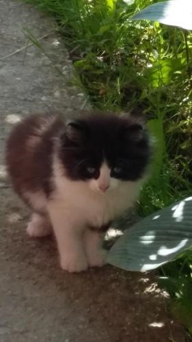 Bed And Breakfast Kreft