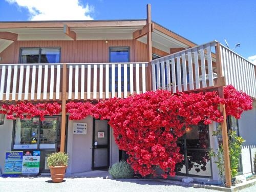 Picton Campervan Park (Adults Only)