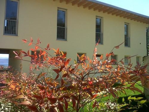 Bio B&B Vivere La Vita