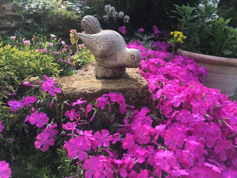 Ranmore Rise Bed And Breakfast