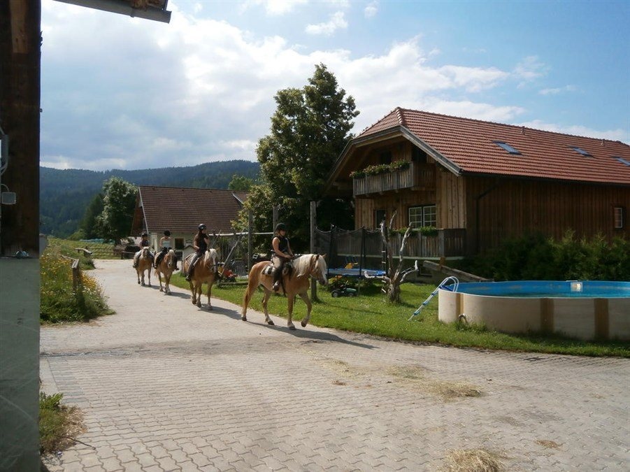 Reitbauernhof Ferner