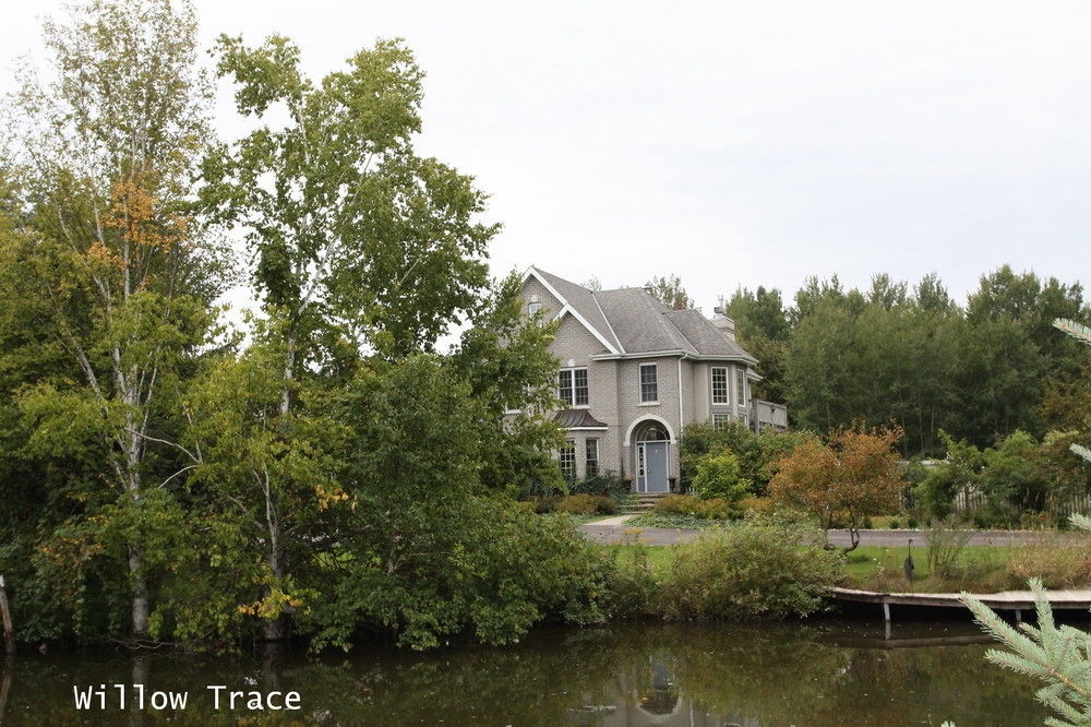 Willow Trace Bed and Breakfast