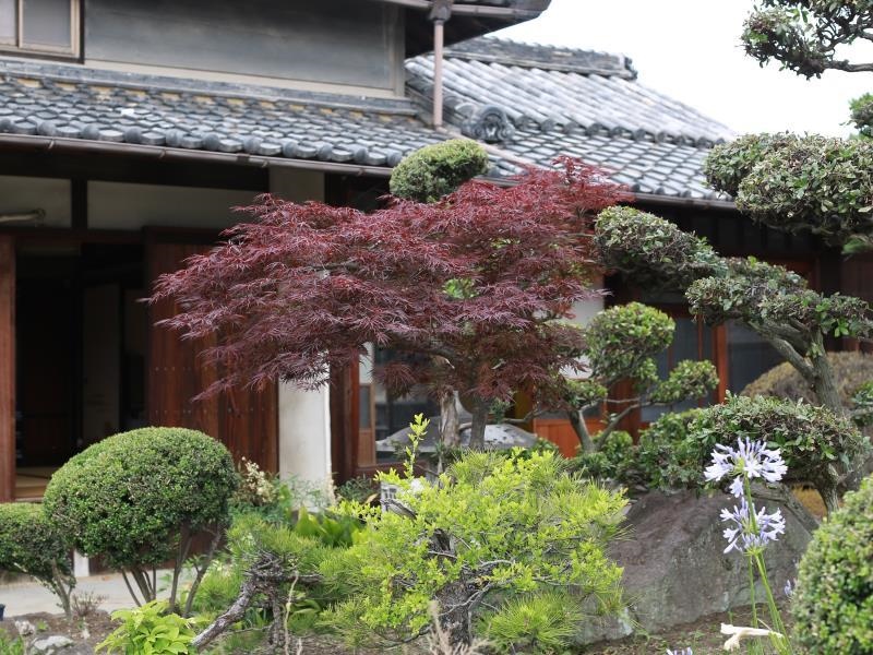 Takematsutei Guest House Kansai Airport