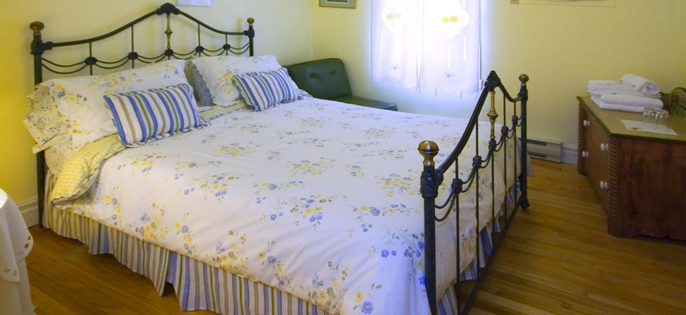 Une Fleur Au Bord De L'eau