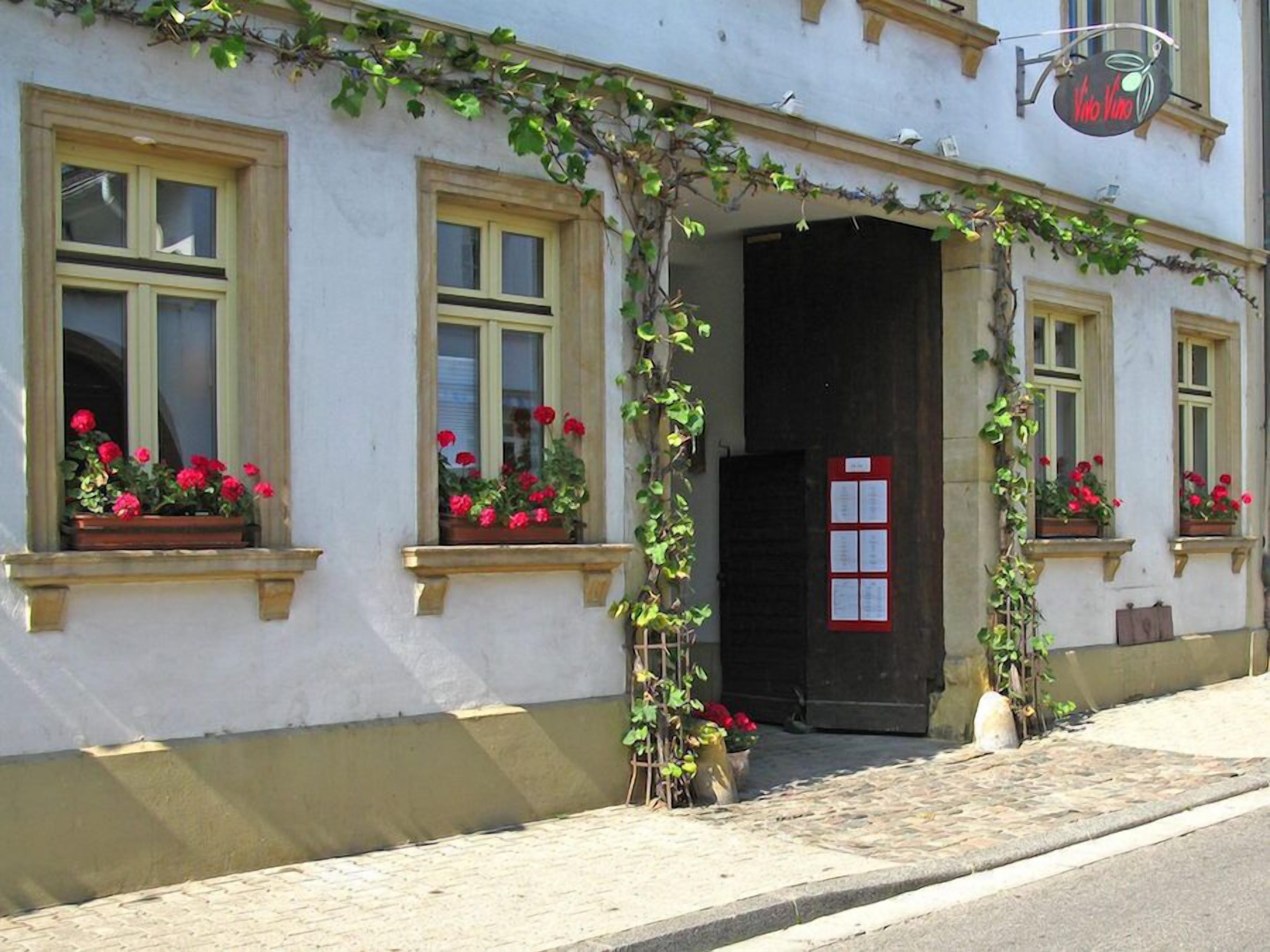 Vivo Vino Restaurant