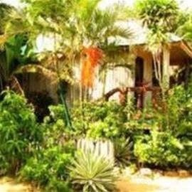 Jungle Huts Resort