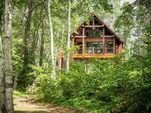 Crosslake Treetop Village