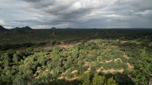 Limpokwena Nature Reserve