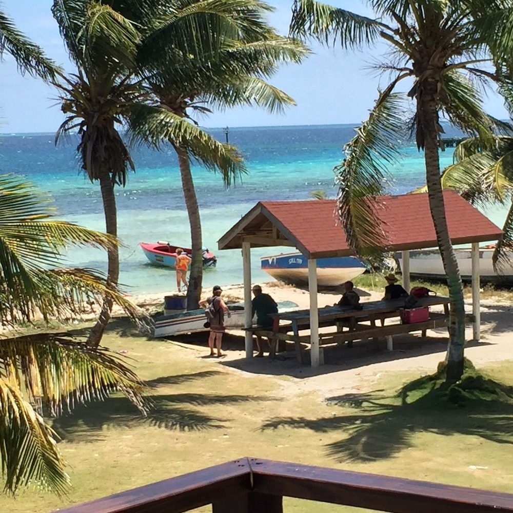 Sunwings Union Island
