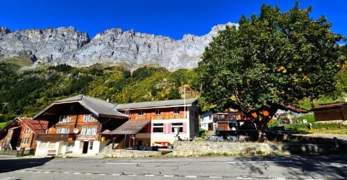 Gadmen Alpenrose Switzerland