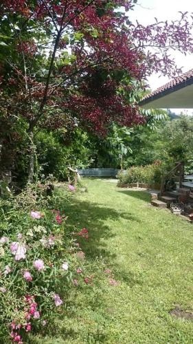 Sea Cinque Terre. Calm, Cool, Freedom Good For Children And Pet. Wifi Parking