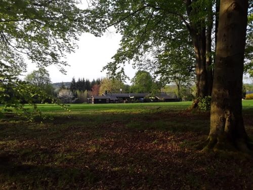 Apartment Am Buchenhain