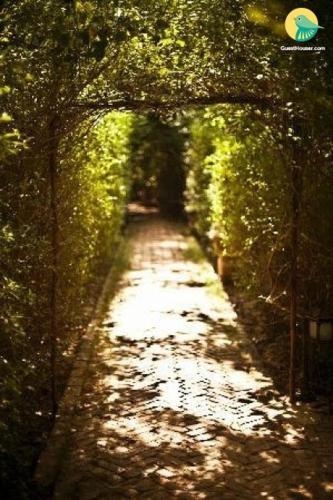 1 Bhk Tree House In Kalwad Kalan And Khurd, Jaipur, By Guesthouser (E006)