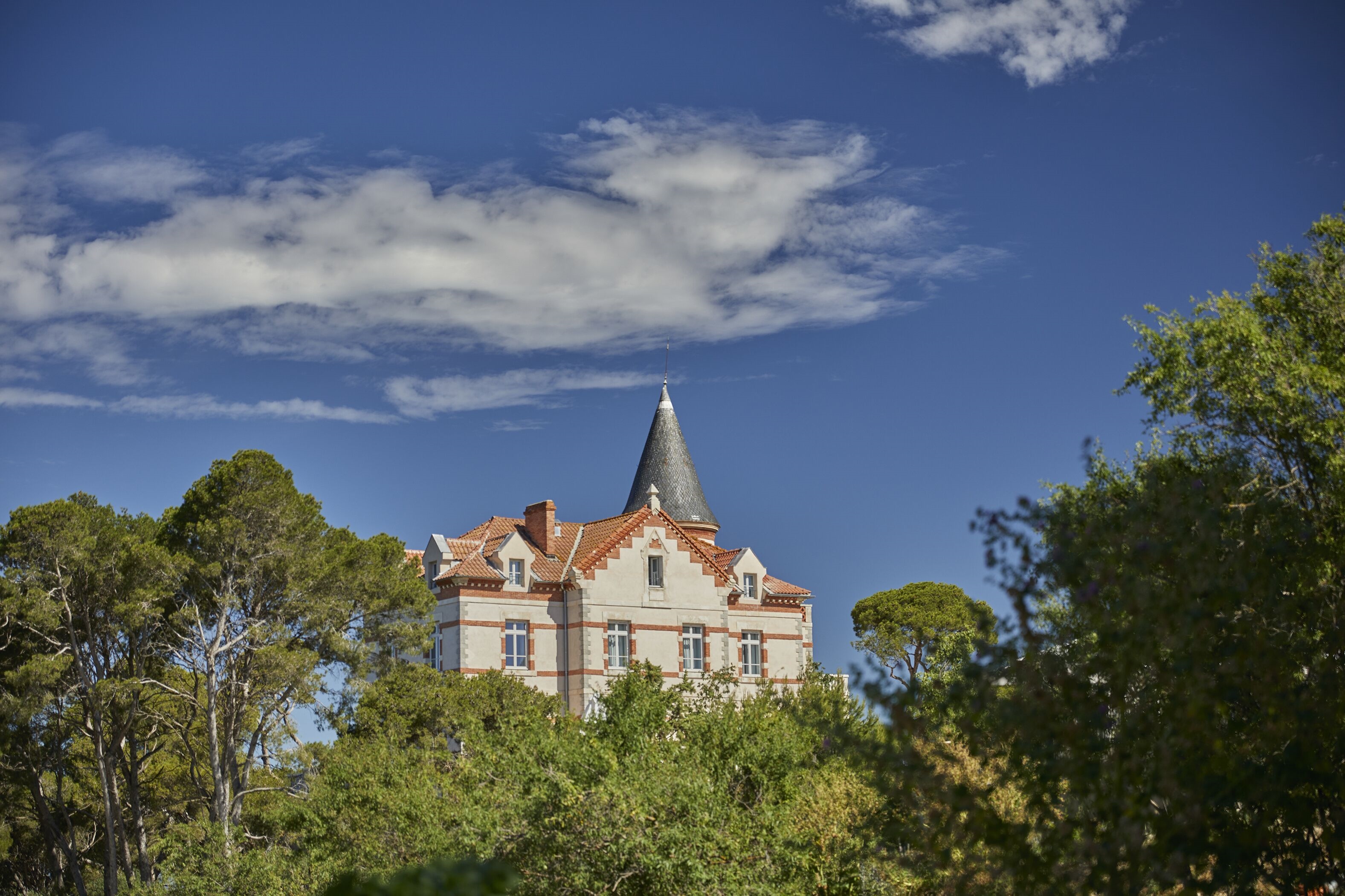 Chateau Capitoul