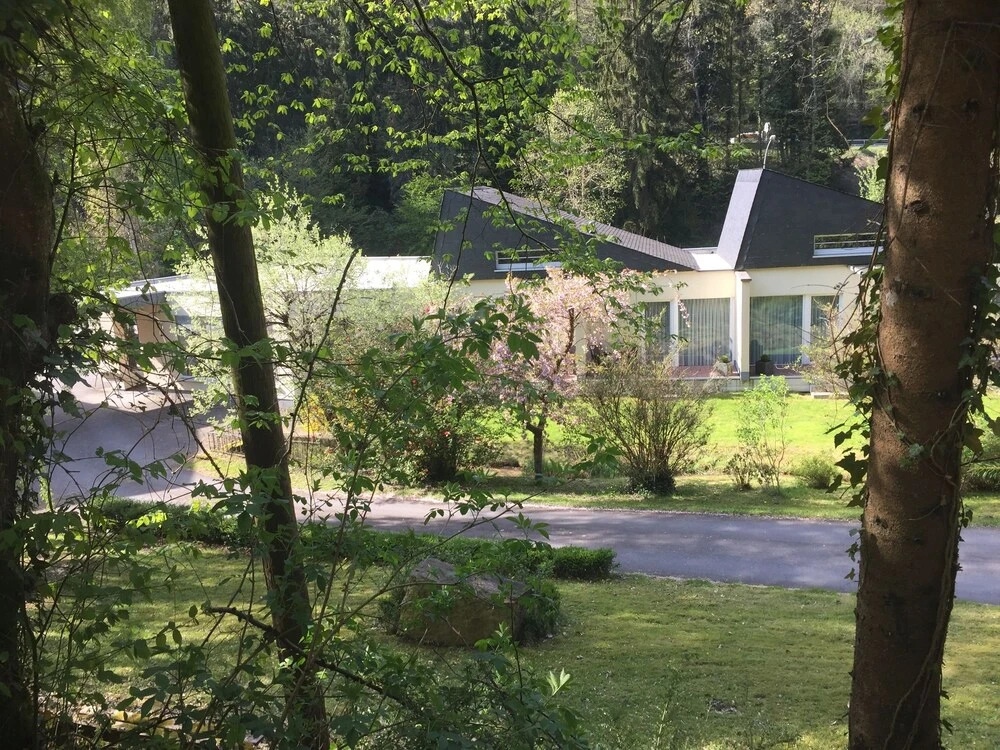 Hotel Au Vieux Moulin