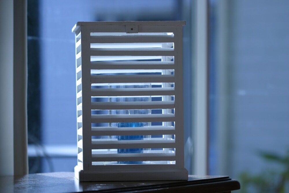 Au Bois Des Tilleuls