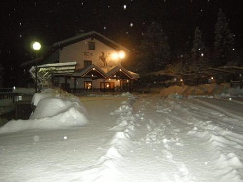 Botton D'oro Delle Dolomiti