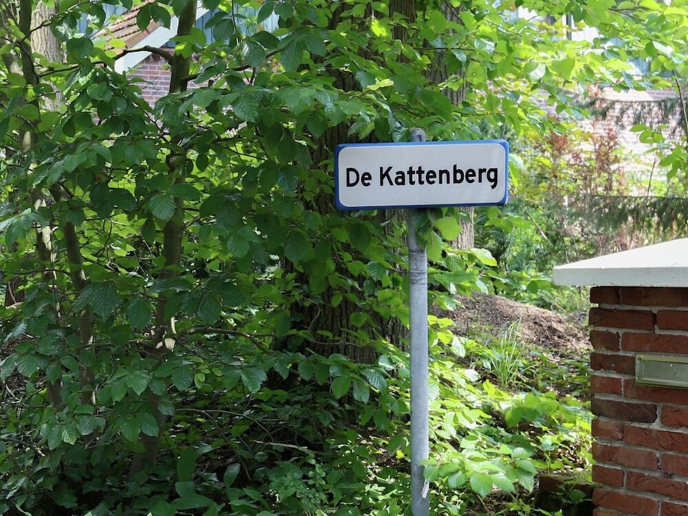 Attractive Holiday Home In Winterswijk Near Forest