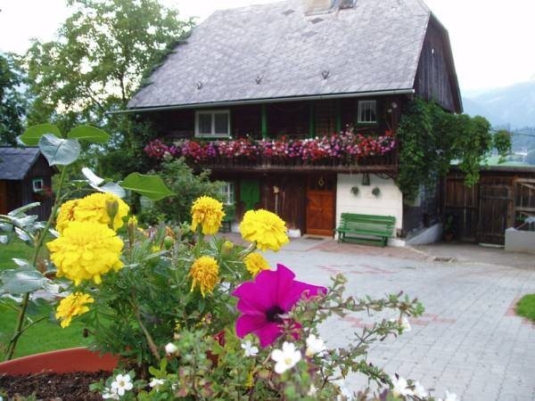 Bio Bauernhof Maurerwolferl