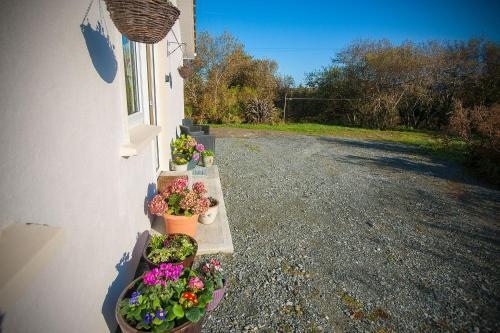 Apartment 265 - Letterfrack