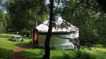 Aspen Yurt - Campsite