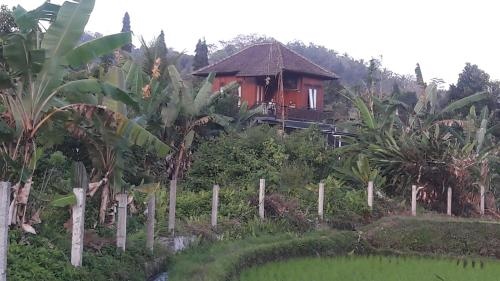 Astana Swaha Estate (Adults Only)