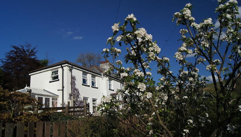 Arfryn House Bed & Breakfast