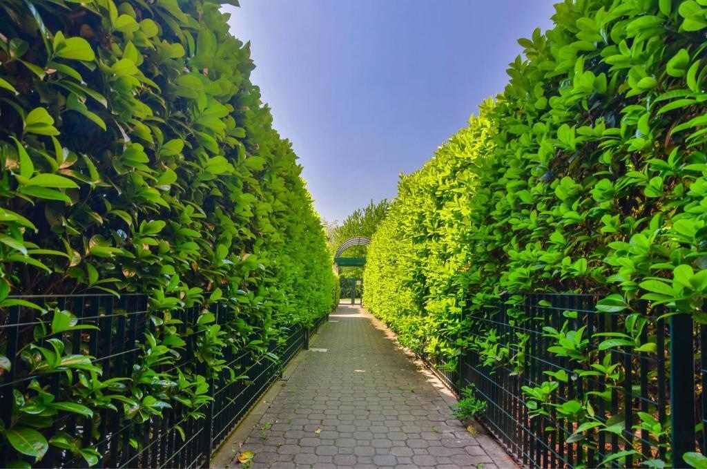 Arese Halldis Apartments