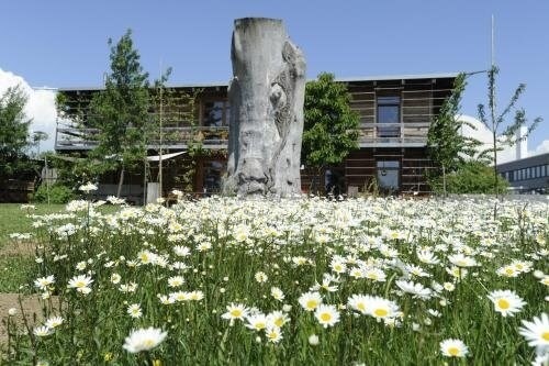 Bernhard Schmid Kunstler - Holzgestalter