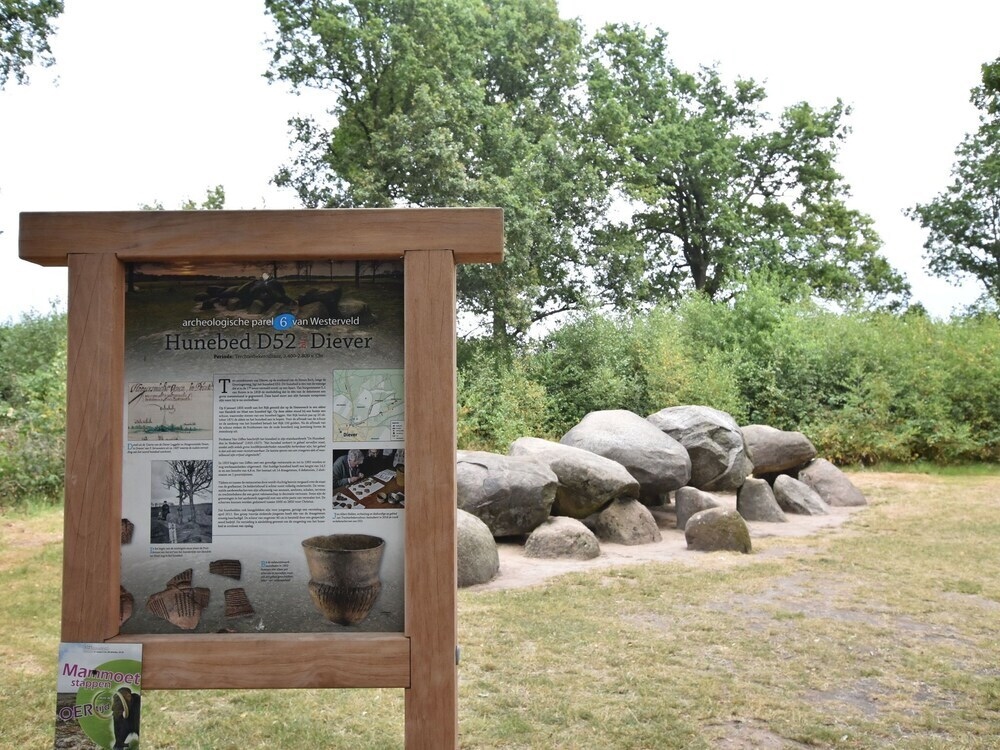 Beautiful Luxury Villa With Sauna in the Middle of the Nature of Drenthe