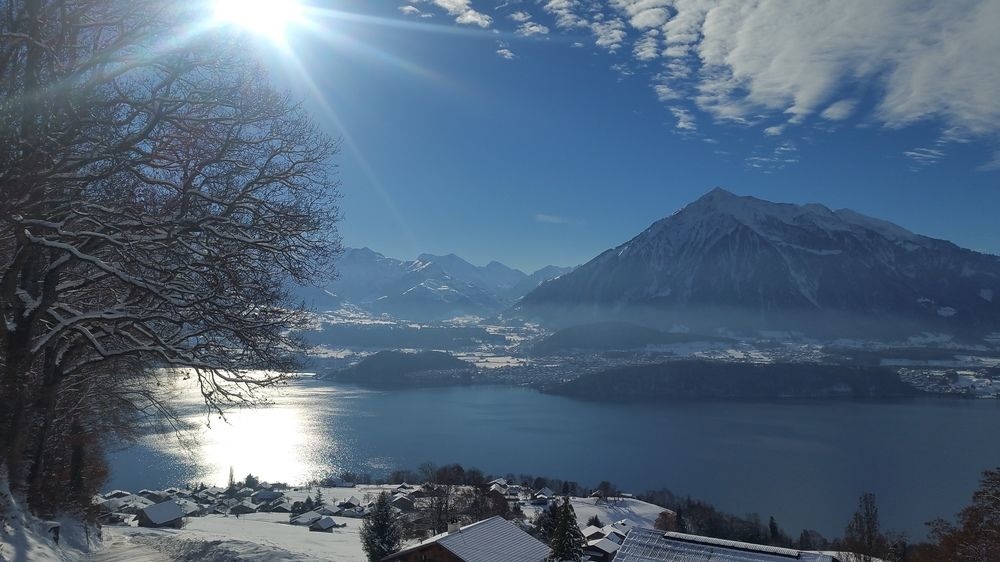 SwissHut Bed&Breakfast