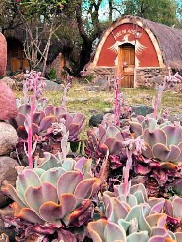 Centro Ecoturistico El Poncho