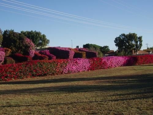 Capricorn Holiday Park