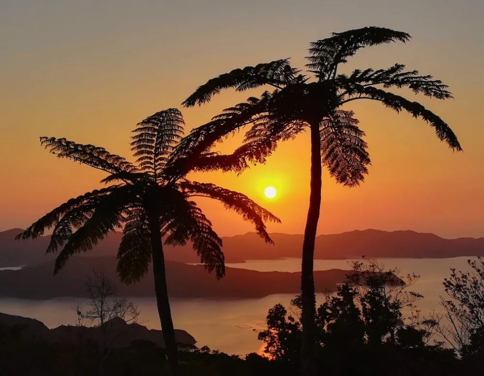 Amami Oshima Guest House Showa Sou Hostel