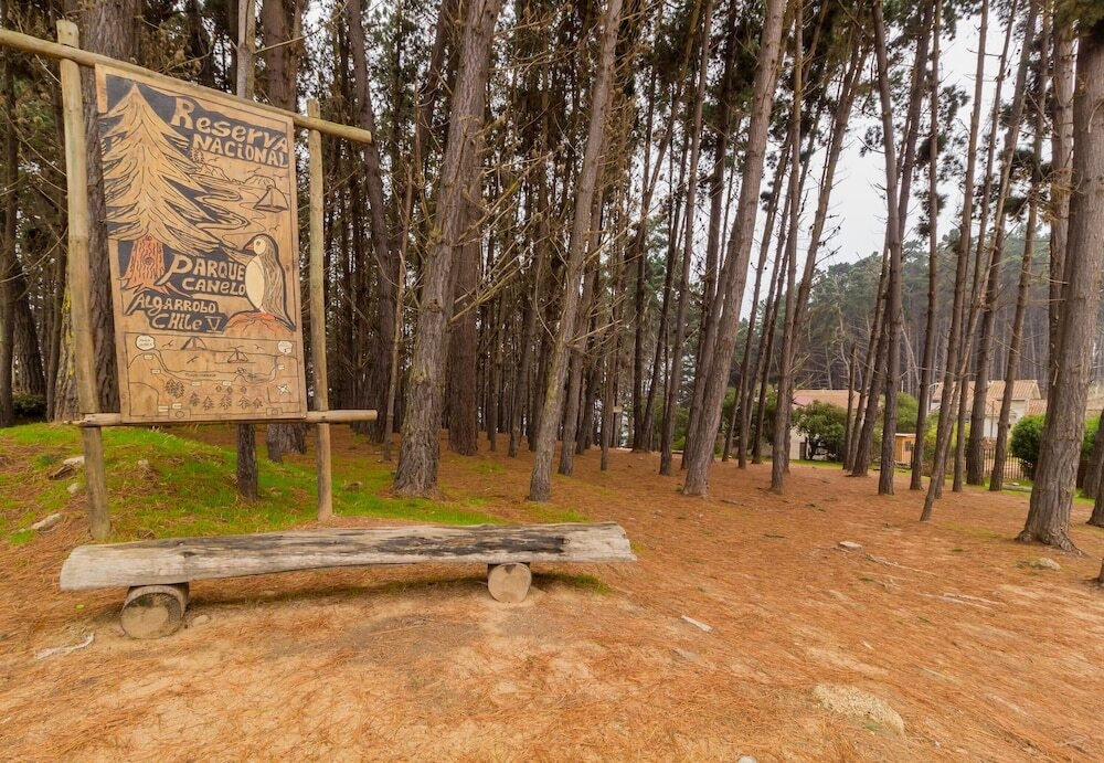 C?Lida Casa Con Patio Y Parrilla, Se Aceptan Perros - House With Patio & Grill