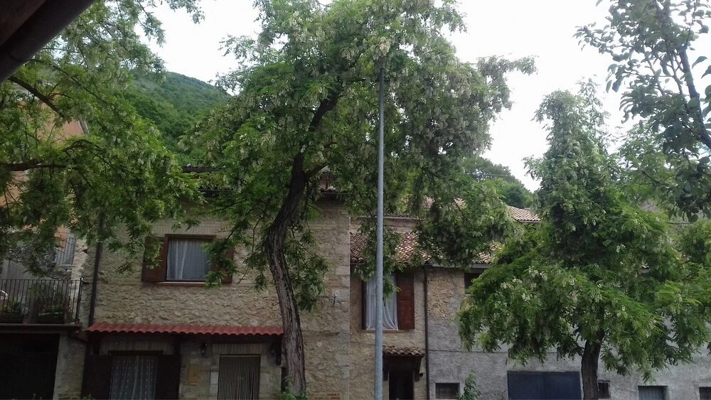 Agriturismo Le Acacie