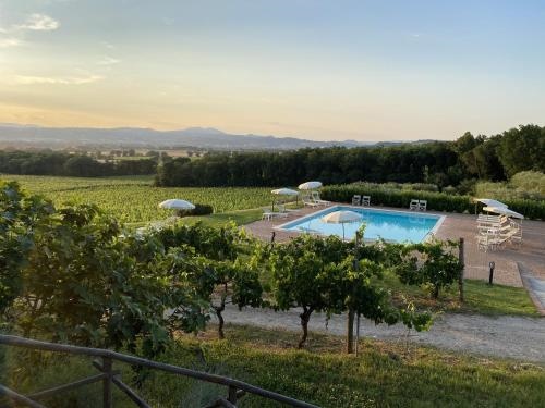 Agriturismo Poggio alle Vigne