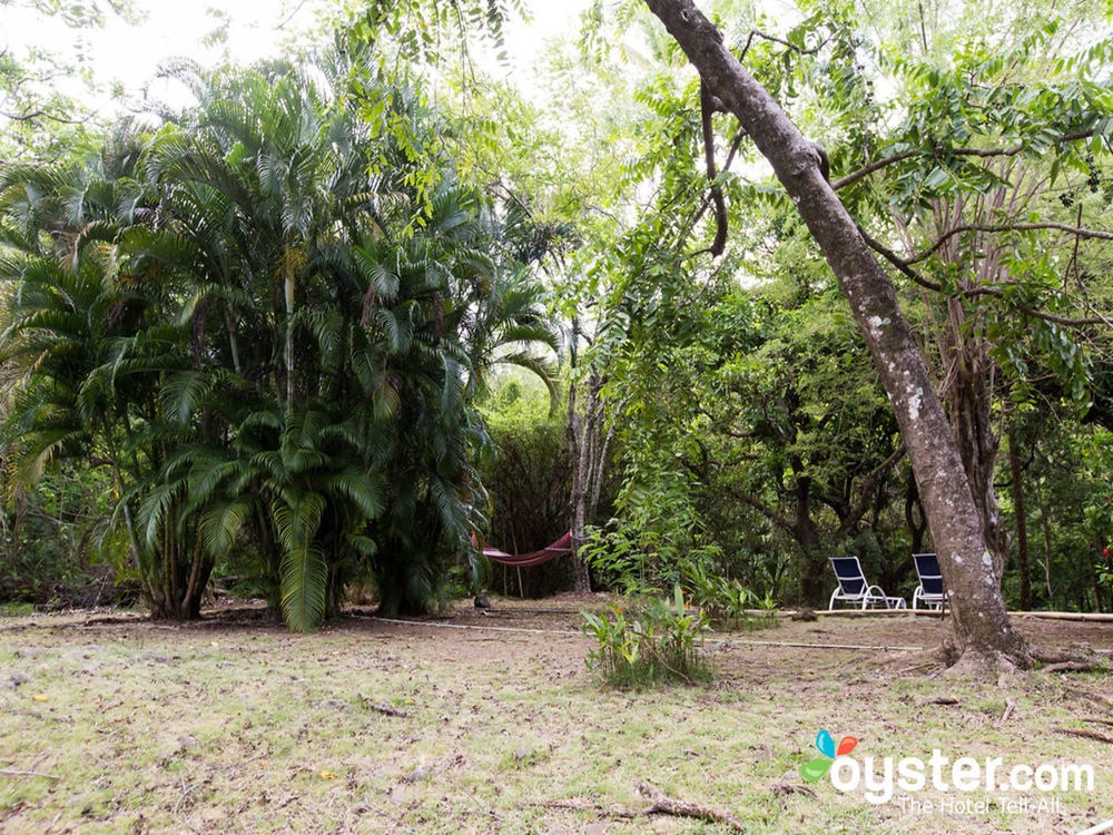 A Peace Of Paradise St. Lucia