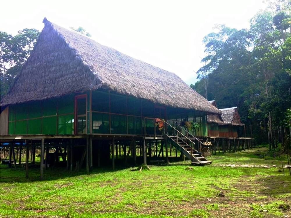 Amazon Eco Tours & Lodge